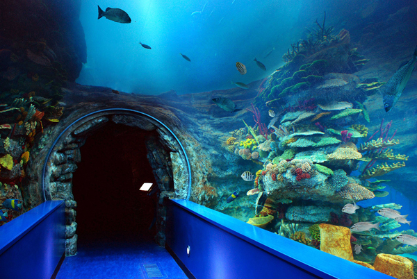 Sharjah Aquarium seating plan